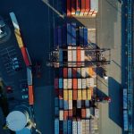 Why Hibiscus Exports Are Surging from Nigeria